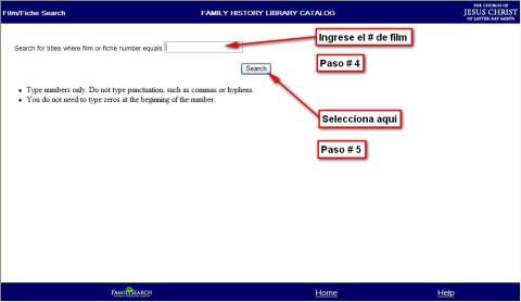 Pasos 4 y 5, Steps 4 & 5